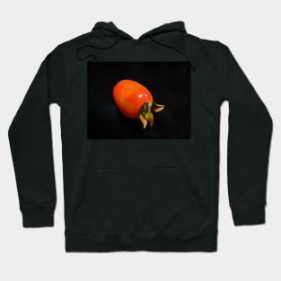 The Persimmon Hoodie